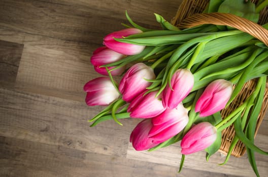 Beautiful bouquet from pink tulips  on a table
