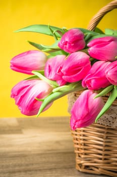 Beautiful bouquet of pink tulips in a wicker basket