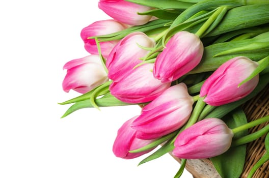 Beautiful bouquet from pink tulips