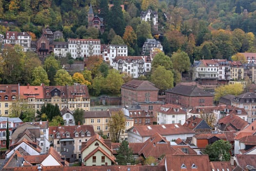 Schlossberg and Lazy Fur in Heidelberg