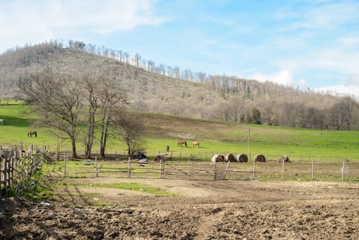 rural landscape with amazing sky and clouds, green hill and some horses in background