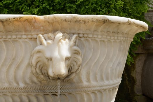 A marble lion head, particular of a fountain in Italy