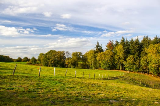 Autumn in the Lower Rhine Region, Germany