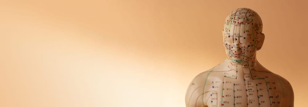 Panorama from Acupuncture Model isolated on beige background