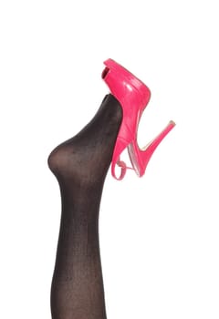 A closeup image of a woman leg in black pantyhose lifted up with a.pink high heel on her toes, isolated for white background.