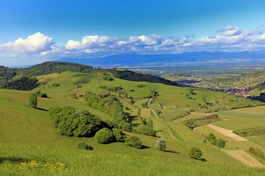 Landscape in the Kaiserstuhl towards Oberbergen and Oberrotweil