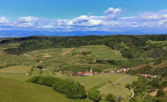 Municipality of Schelingen in the inner Kaiserstuhl