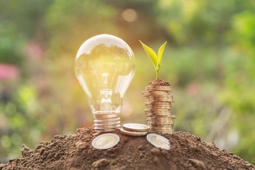 Energy saving light bulb and tree growing on stacks of coins on nature background. Saving, accounting and financial concept.