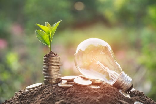 Energy saving light bulb and tree growing on stacks of coins on nature background. Saving, accounting and financial concept.