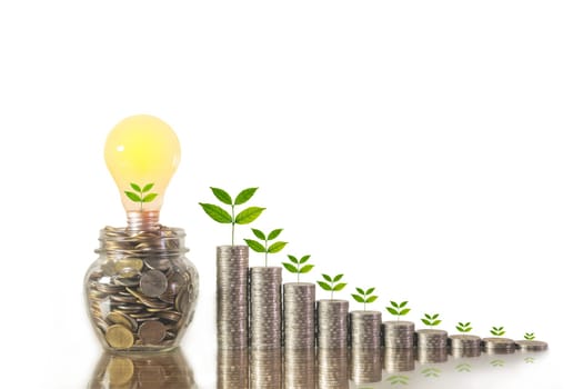Energy saving light bulb and tree growing on stacks of coins isolated on white background. Saving, accounting and financial concept.