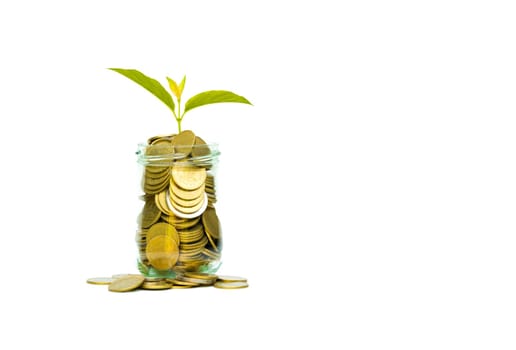 Coins in jar isolated on white background. Concept finance business, accounting and saving investment.