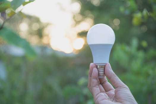 Hand of person holding light bulb for idea or success or solar energy