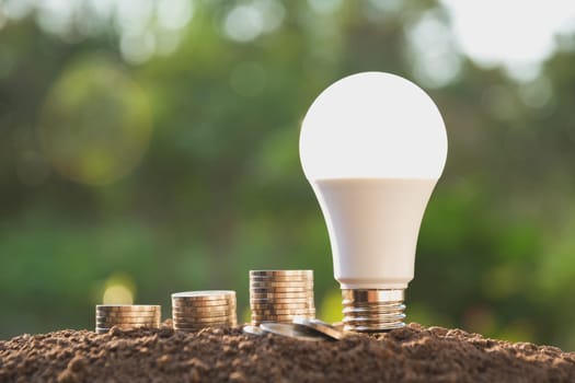 Energy saving light bulb and tree growing on stacks of coins on nature background. Saving, accounting and financial concept.