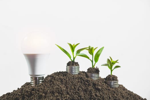 Energy saving light bulb and tree growing on stacks of coins on white background. Saving, accounting and financial concept.