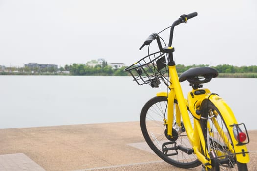 Yellow bike with swamp background. Yellow bicycle in the public park.