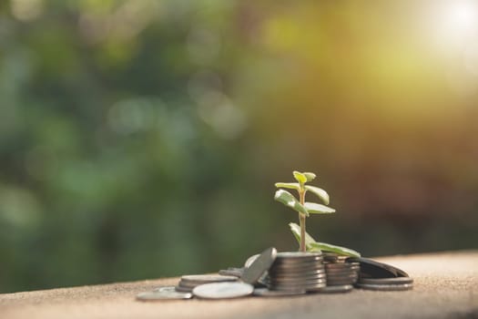Saving money concept with money coin stack growing for business. financial and accounting concept.