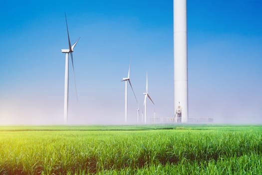 Wind turbines under the blue sky. Wind turbines generating electricity.