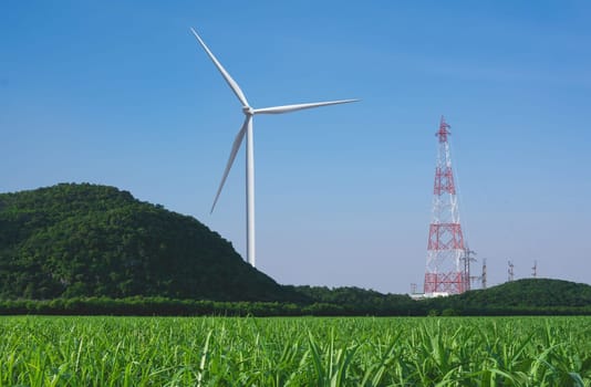 Wind turbines under the blue sky. Wind turbines generating electricity.