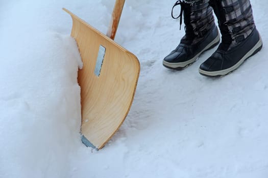 Snow shovels in winter. A woman shovels the snow away with a snow shovel
