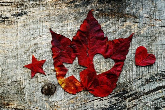 Love for autumn. Snowflakes in autumn. A red autumn leaf with heart and snowflake.
