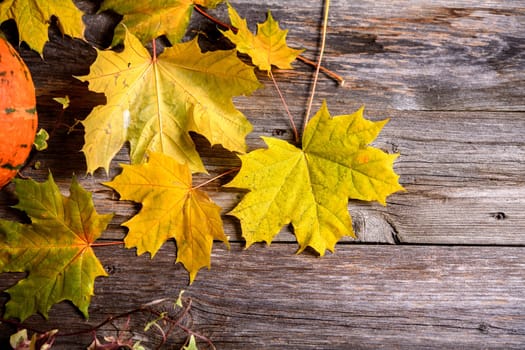 fall-still life with pumpkin and yellow maple leaves on wooden ground