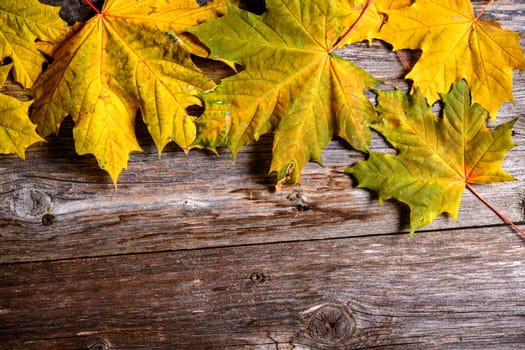 fall-still life with yellow maple leaves on wooden ground