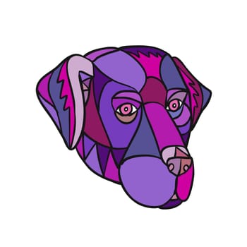 Mosaic low polygon style illustration of head of a black lab, labrador retriever, or retriever-gun dog on isolated white background in color.