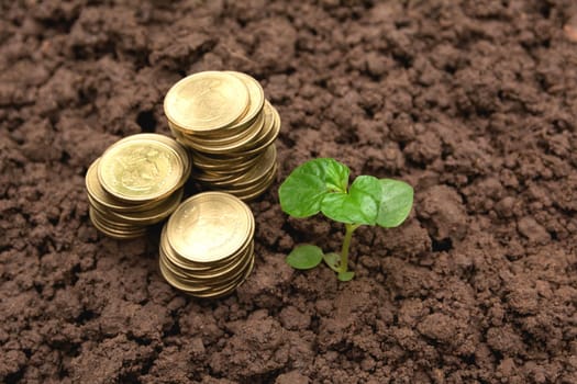 Saving money concept with money coin stack growing for business. financial and accounting concept.