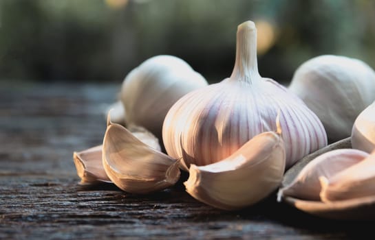 Fresh garlic on wooden table and nature  background.