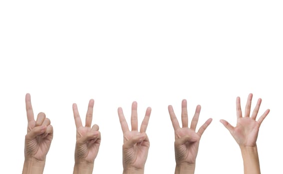 Set of hand gesture and sign collection isolated on white background. Multiple hand gestures.