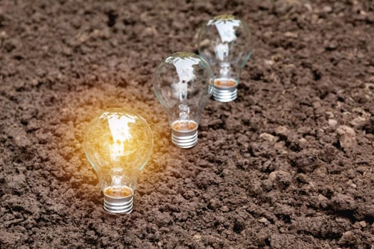 Light bulbs with glowing on ground. Idea, creativity and saving energy with light bulbs concept.