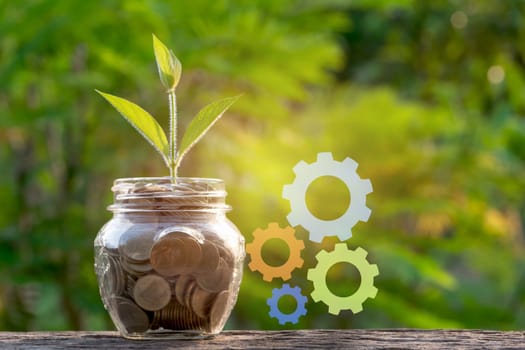 Saving money with coin in glass jar and green plant for business and accounting concept on nature background.