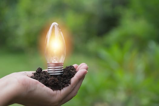 Hand of male holding a light bulb for innovation and creative concept .