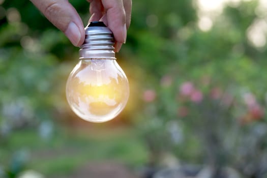 Hand holding light bulbs with glowing on ground. Idea, creativity and saving energy with light bulbs concept.