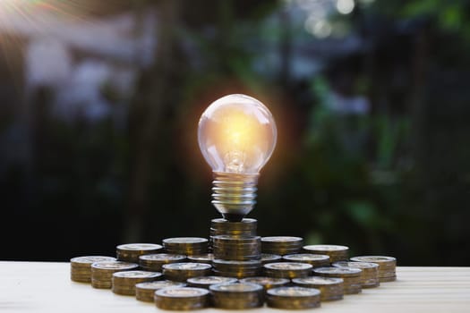 Energy saving light bulb and tree growing on stacks of coins on nature background. Saving, accounting and financial concept.