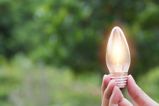 Hand of male holding a light bulb for innovation and creative concept .