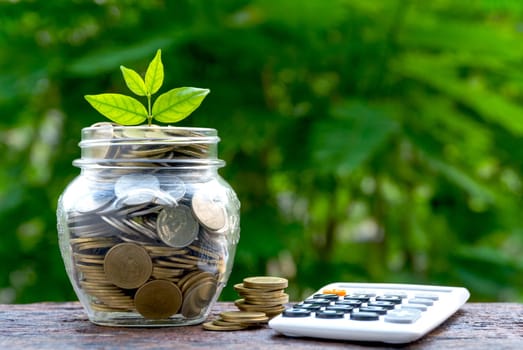 Saving money with calculator, coin in glass jar and green plant for business and accounting concept on nature background.