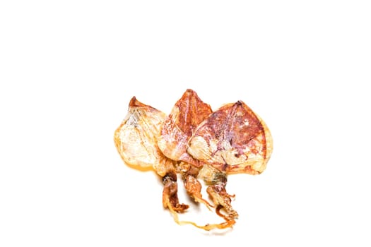Grilled squid isolated on white background. Sea food of Thailand.