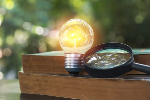 A light bulb for innovation and creative concept on nature background.