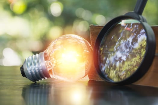 A light bulb for innovation and creative concept on nature background.