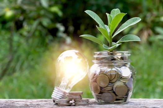 Energy saving light bulb and tree growing on stacks of coins on nature background. Saving, accounting and financial concept.