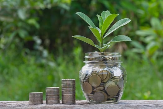 Saving money concept with money coin stack growing for financial and accounting. financial and accounting concept.