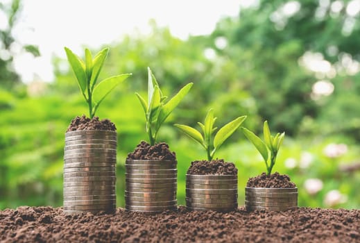 Saving money concept with money coin stack growing for business. financial and accounting concept.