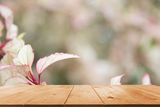 Macro of Sweet flower with wooden table. Close up white flowers on nature background.