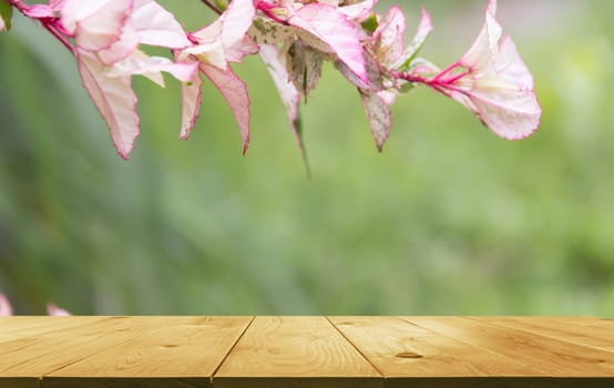 Macro of Sweet flower with wooden table. Close up white flowers on nature background.