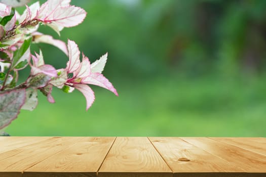 Macro of Sweet flower with wooden table. Close up white flowers on nature background.