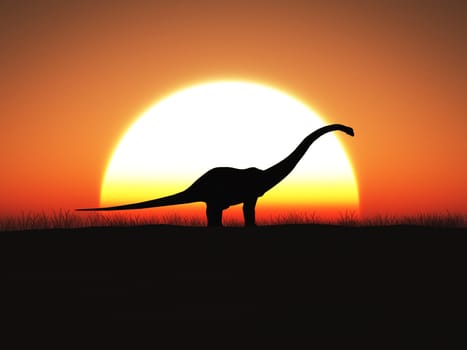 3D rendering of a brontosaurus dinosaur in silhouette standing against a big sun at sunset.