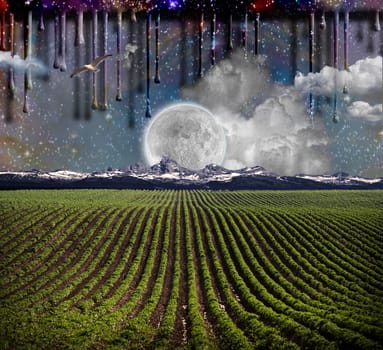 Night melts into day in rural landscape. Giant moon at the horizon. Green rows. Futuristic landscape