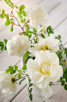 Bouquet of white garden roses, close-up