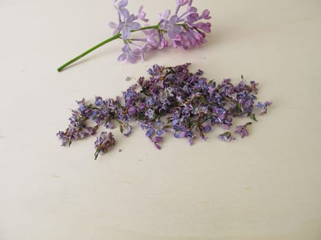 Dried lilac flowers on wooden board